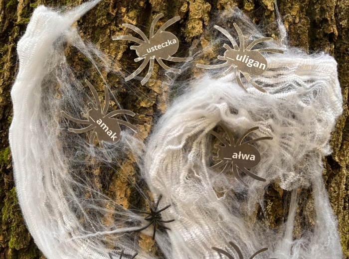 Ortografia "ch"/"h" pająki - Halloween