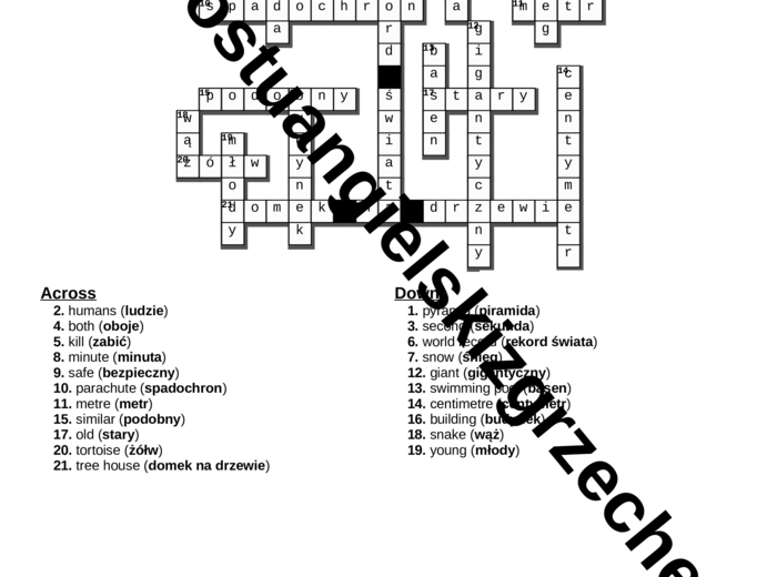 English Class A1+ – Unit 4 – krzyżówki