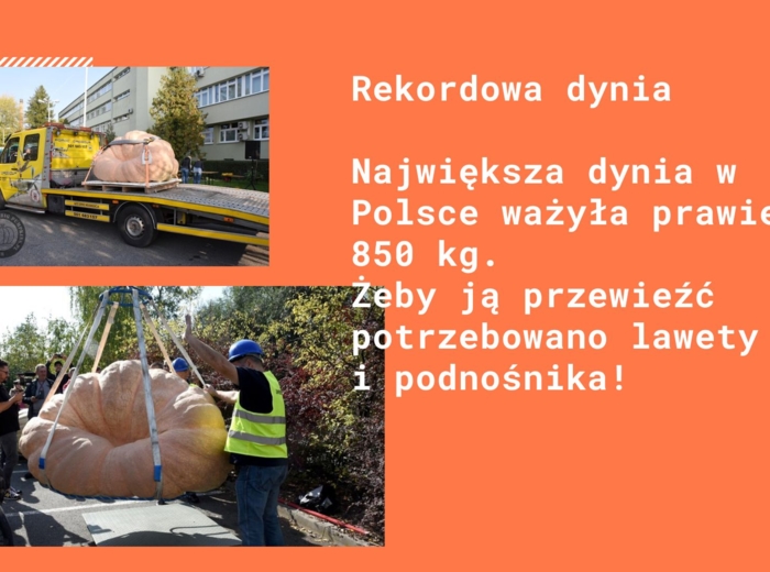 Dzień Dyni - prezentacja
