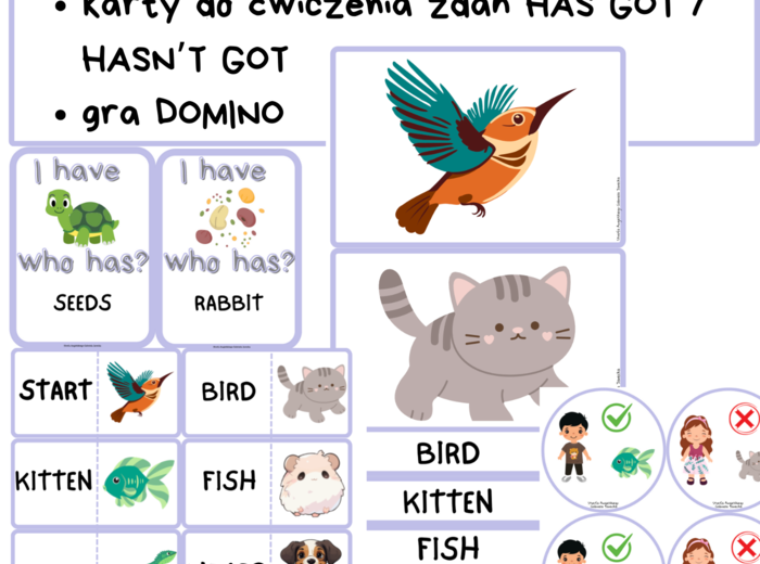 Gotowa lekcja PETS dla klas 1-3. Materiały na ćwiczenia słownictwa oraz mówienia. Prezentacja na wprowadzenie słownictwa + karty do gry i zabaw