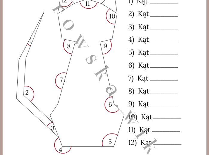 Rodzaje kątów - kot