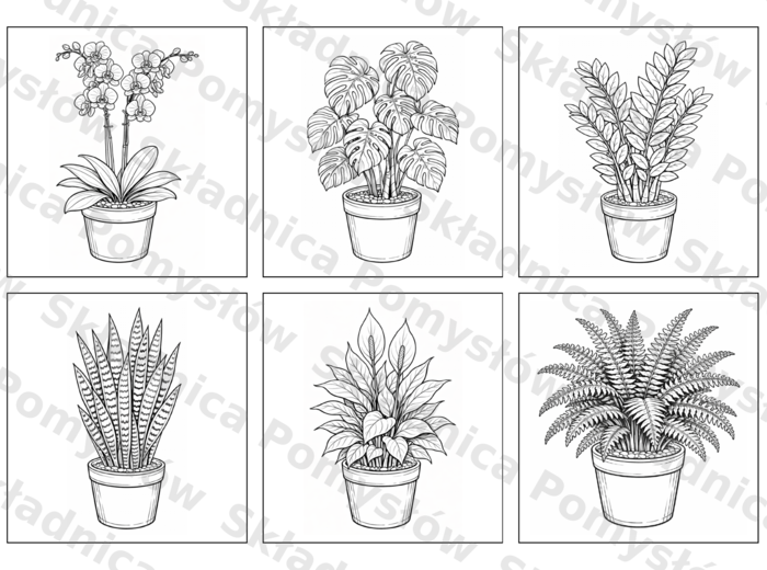 ROŚLINY DONICZKOWE - kolorowanka edukacyjna - (PDF A4, 7 stron: 6 roślin + miniatury) - przyroda/biologia