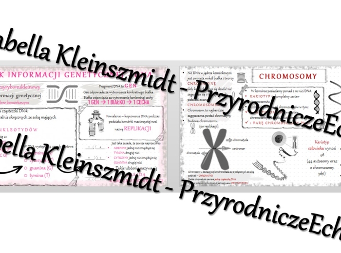 Sketchnotka - notatka „Nośnik informacji genetycznej – DNA” wykonana w power point do edycji. Biologia 8; „GENETYKA”