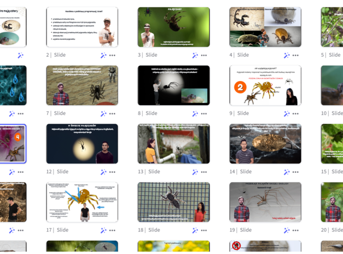 Prezentacja multimedialna w genial.ly „Pajęczaki – stawonogi, które mają cztery pary odnóży” – do edycji i pobrania – biologia klasa VI, dział III – temat 4