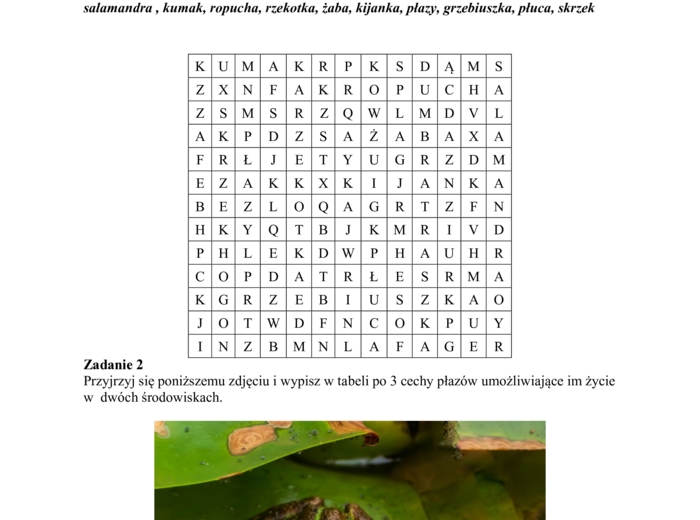 Płazy - kręgowce wodno-lądowe