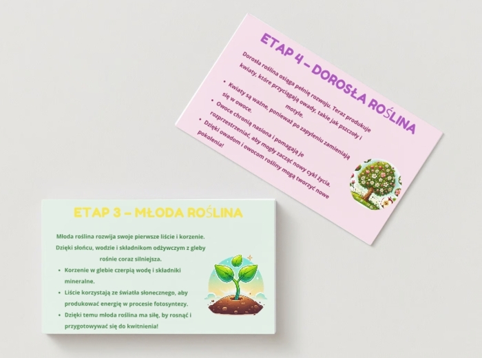 PLANSZA - Cykl życia roślin