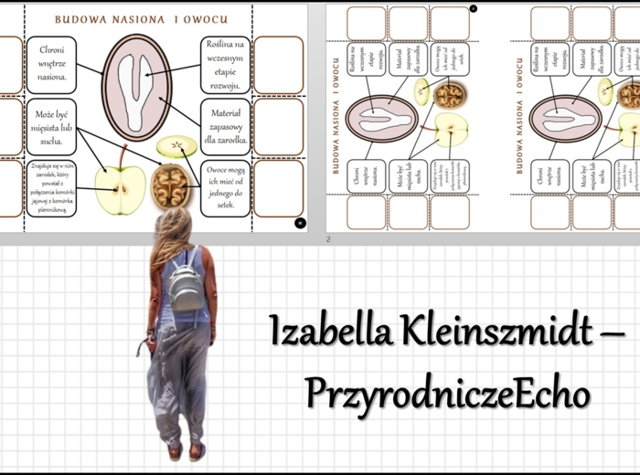 Notatka okienkowa „Budowa nasiona”, „Budowa owocu”, „Rozprzestrzenianie się roślin okrytonasiennych” w pdf. Biologia 5 dział „Różnorodność roślin”.