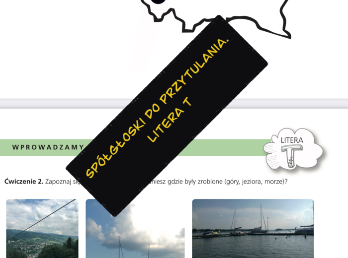 Spółgłoski do przytulania. Monografia litery T