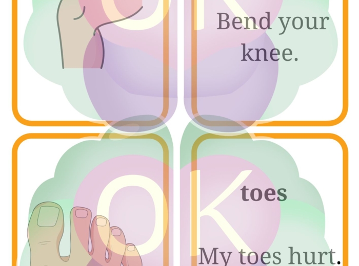 Flashcards: Body Parts • Food • Toys