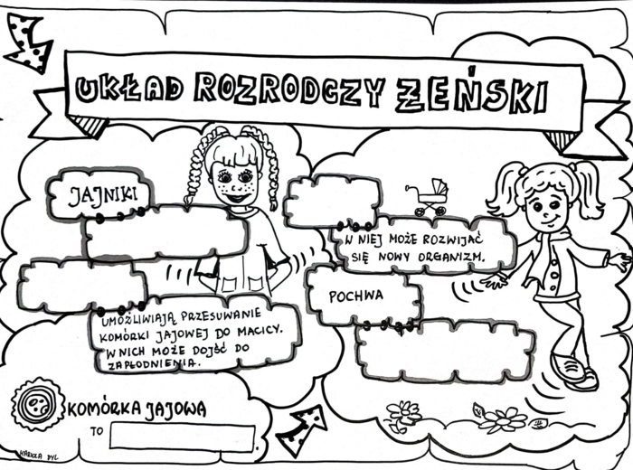 Klasa 4. Przyroda: Układ rozrodczy żeński (dwie karty pracy).