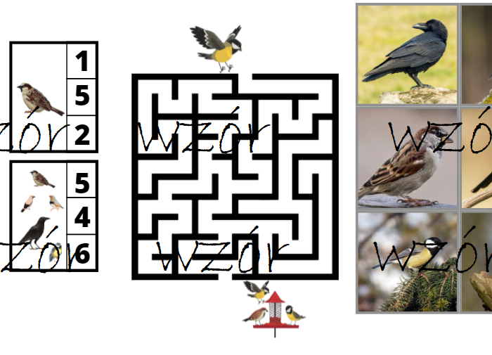 Ptaki zimą - pakiet