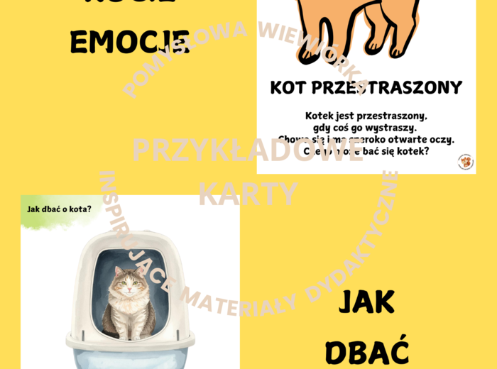 🐱 DZIEŃ KOTA