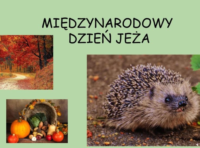 ???Międzynarodowy Dzień Jeża - prezentacja w formie video??