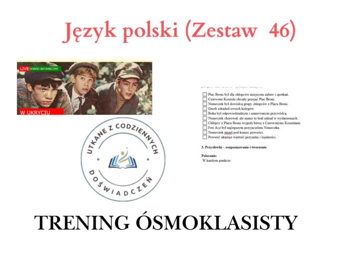 Trening ósmoklasisty – język polski (zestaw 46). Chłopcy z Placu Broni.