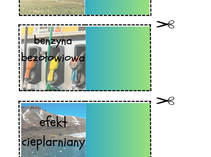 Gra dydaktyczna „Memory – ekologia”