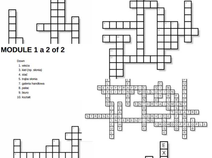 Flash 6 – Module 1 – krzyżówki