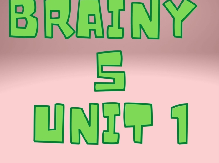 BRAINY 5