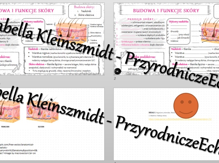 Minizestaw na temat „Budowa i funkcje skóry” – sketchnotka + karta pracy w power point + gratisowy link do prezentacji multimedialnej niekomercyjnej wykonanej w genial.ly do indywidualnego pobrania i użycia do celów niekomercyjnych. Biologia 7, „Organizm