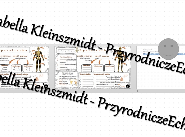 Minizestaw na temat „Aparat ruchu. Budowa szkieletu” – sketchnotka + karta pracy w power point + gratisowy link do prezentacji multimedialnej niekomercyjnej wykonanej w genial.ly do indywidualnego pobrania i użycia do celów niekomercyjnych. Biologia 7, „