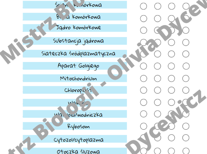 Komórki - porównanie