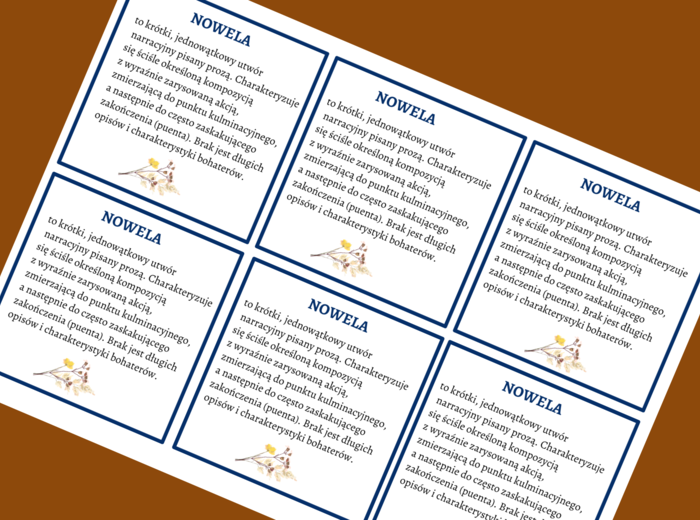 NOWELA - epika – cechy – wklejka