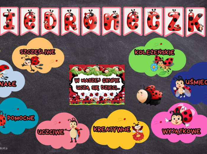 GRUPA BIEDRONECZKI / BIEDRONKI