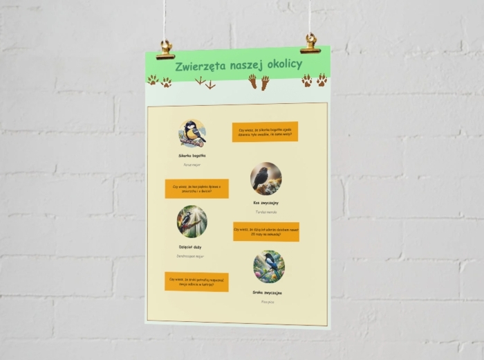 Plansze edukacyjne. Gatunki zwierząt, roślin i grzybów występujących lokalnie.