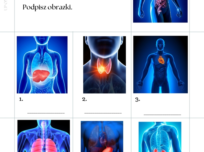 Części ciała workbook + kurs fiszkowy