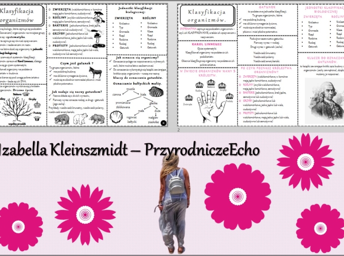 Sketchnotka/książeczka/notatka/wklejka/ściąga dla ucznia i przypomnienie dla nauczyciela/edukacja domowa. Temat „Klasyfikacja organizmów”. Materiał w pdf. Biologia 5, dział „Wirusy, bakterie, protisty i grzyby”. Nowość 2024/2025.