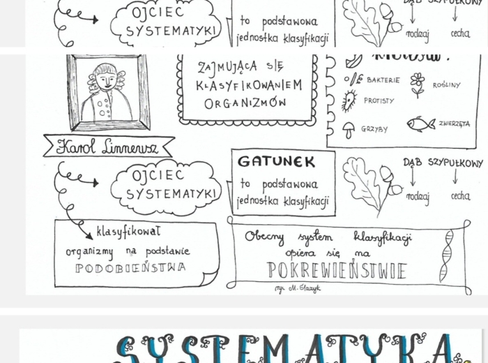 Systematyka - sketchnotka