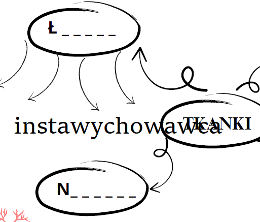 Rodzaje tkanek zwierzęcych-schemat