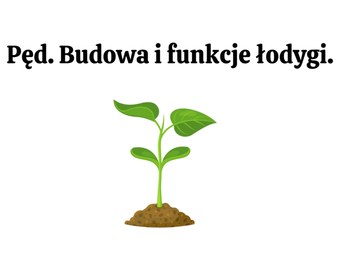 Pęd + liść 2 KLASA ROZSZERZENIE