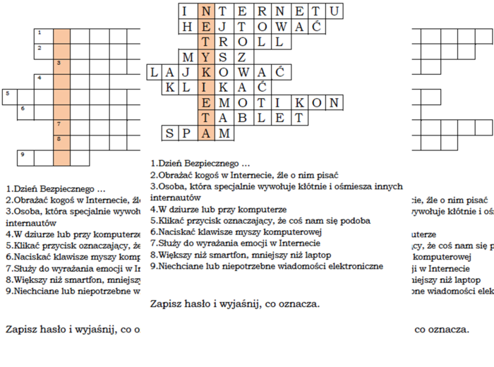 Logogryf dla klasy 2 z hasłem Netykieta