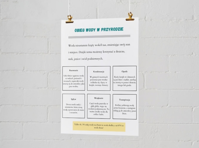Infografiki edukacyjne. Zasady segregacji odpadów. Obieg wody w przyrodzie. Dlaczego pszczoły są ważne?