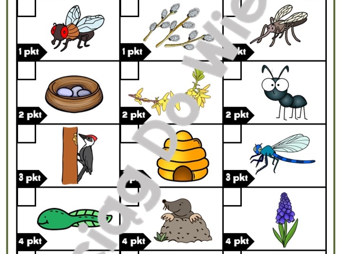 Wiosna - Gra Terenowa