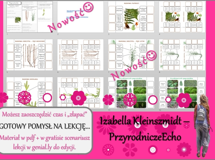 Pomysł na lekcję/karta pracy/stacje zadaniowe/materiał do lekcji do tematu „Paprotniki” w pdf. W gratisie niekomercyjny scenariusz lekcji/pomysł na lekcję w programie genial.ly do edycji. Biologia 5. Dział „Różnorodność roślin”.