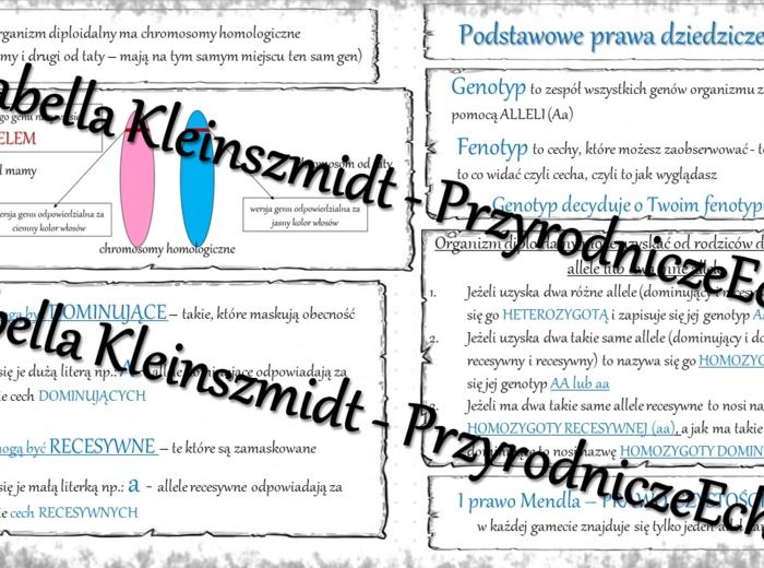 Sketchnotka - notatka „Podstawowe prawa dziedziczenia” wykonana w power point do edycji. Biologia 8; „GENETYKA”