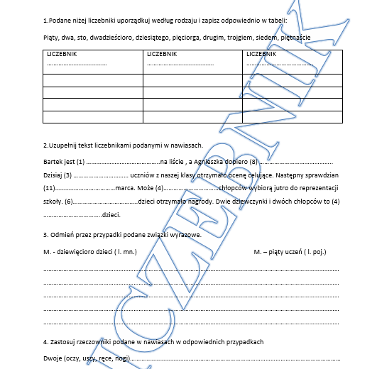 Liczebnik kartkówka klasa 4/5