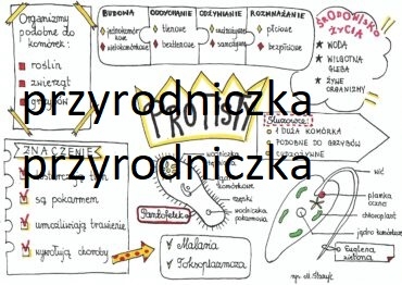 Klasa 5. Biologia. Protisty