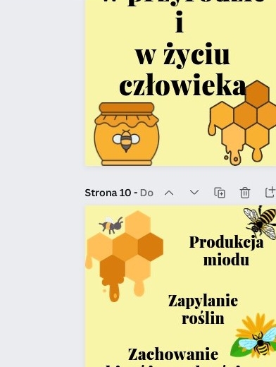 Światowy Dzień Pszczół