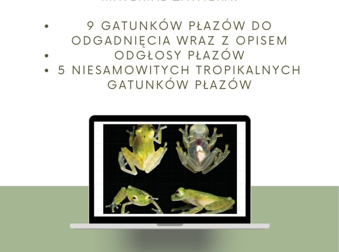 Przegląd i znaczenie płazów - gra zgadnij kto to Z ODGŁOSAMI