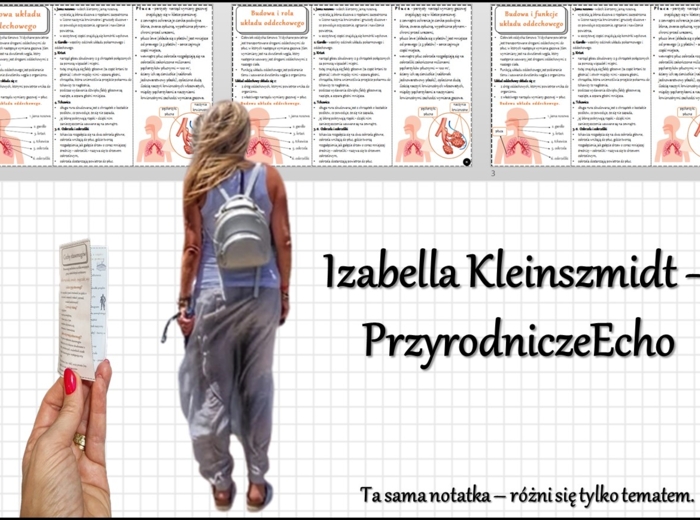 Książeczka/broszurka/notatka/sketchnotka/wklejka/ściąga dla ucznia/przypomnienie dla nauczyciela - w pdf. – „Budowa układu oddechowego”, „Budowa i rola układu oddechowego”, Budowa i funkcje układu oddechowego”. Biologia 7. Dział „Układ oddechowy”. Na pod