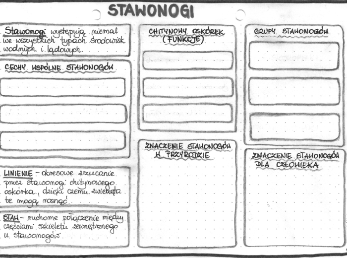 Stawonogi – klasa 6 – szarość