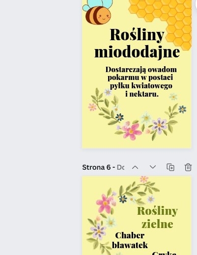 Światowy Dzień Pszczół