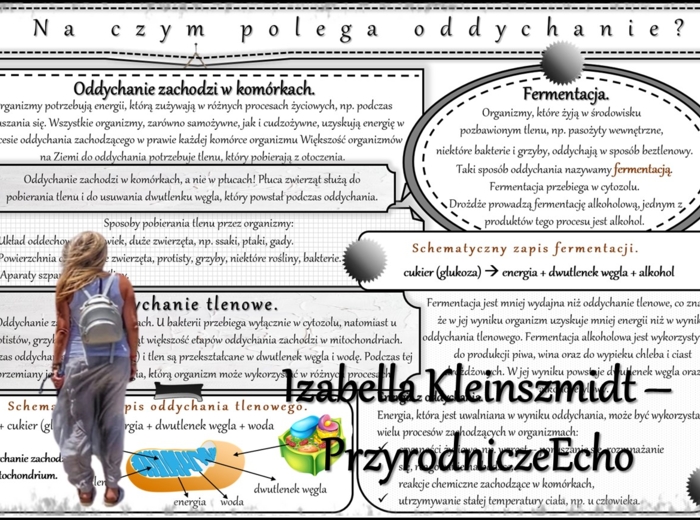 Sketchnotka/notatka/streszczenie/wklejka/ściąga dla ucznia i nauczyciela. Temat „Na czym polega oddychanie?” w pdf. Biologia 5 dział „Organizacja i chemizacja życia”. Wykonana na podstawie podręcznika z wydawnictwa WSiP.