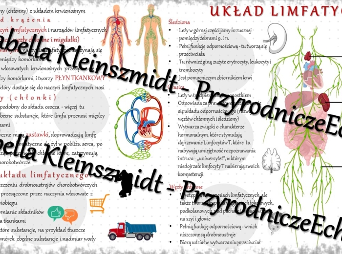 Sketchnotka - notatka „Układ limfatyczny” wykonana w power point do edycji. Biologia 7; „Układ krążenia”