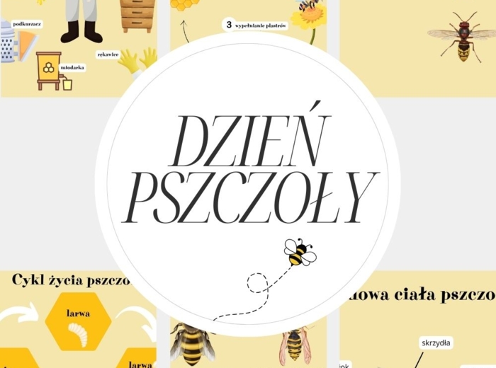 Dzień Pszczół - dekoracje, karty pracy i plansze edukacyjne. Pełen pakiet.