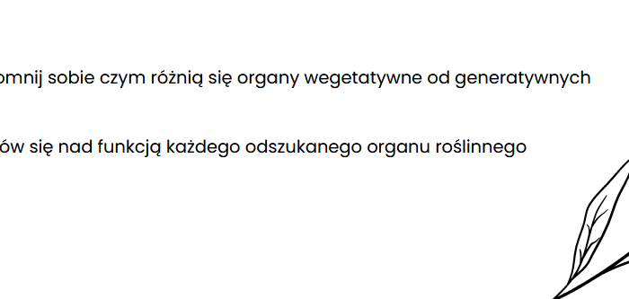 Organy wegetatywne i generatywne roślin (liście, łodyga, korzeń, owoce, kwiat)