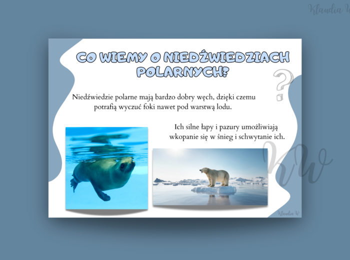 Dzień Niedźwiedzia Polarnego - zestaw