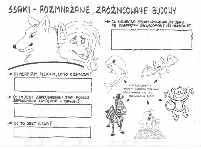 Ssaki - zróżnicowanie budowy ciała - klasa 6- KP